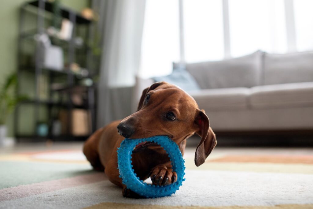 Dog Toy Manufacturers Uk