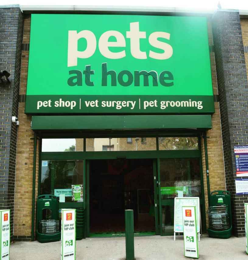 Best Pet Shops