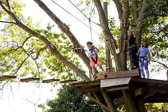 Go Ape Alexandra Palace