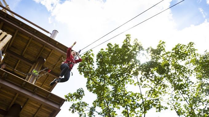 Go Ape Alexandra Palace