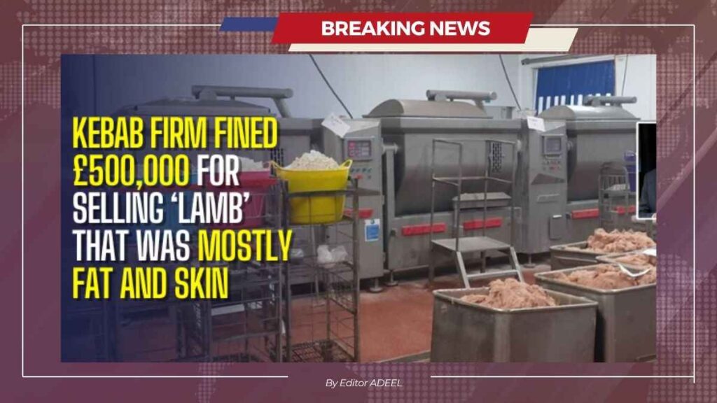 Kebab Manufacturer Fined £500,000 After ‘Lamb’ Products Found to Be Mostly Fat and Skin kebab